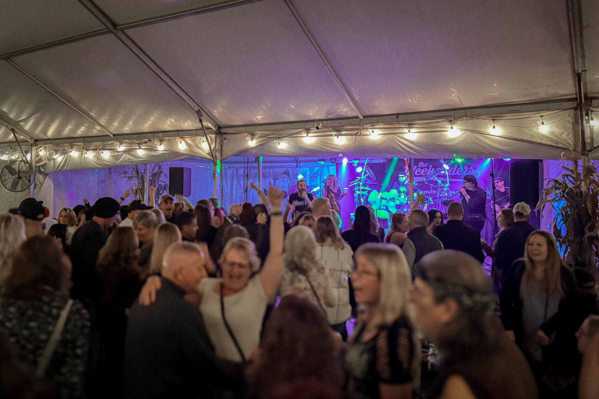 Game Nights, Live Music & Patio Vibes